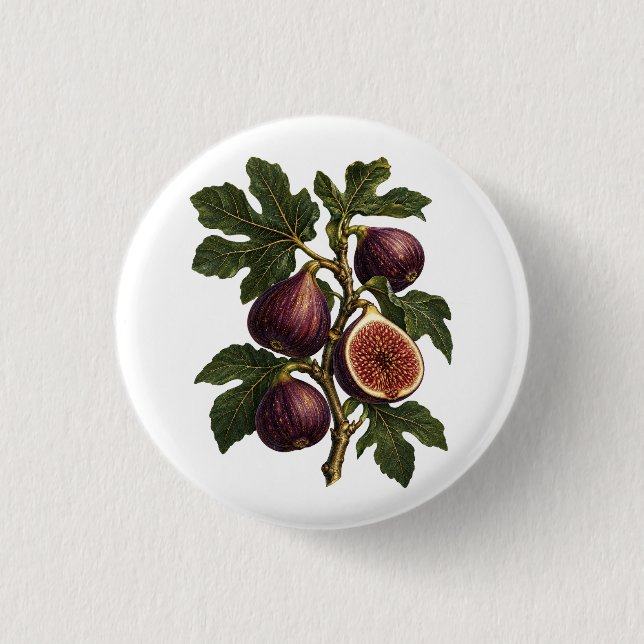 Vintage-Feigenzweig-Botanik-Illustration Button (Vorderseite)
