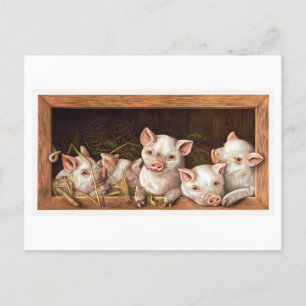 Vintage-Ferkel-Illustrations-Postkarte Postkarte