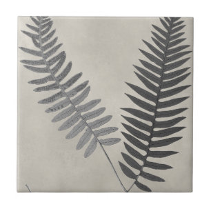 Vintage Ferns Fliese