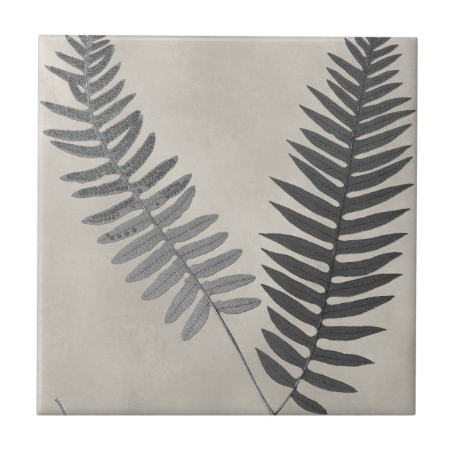 Vintage Ferns Fliese (Vorderseite)