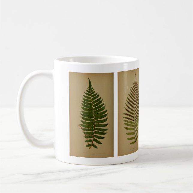 Vintage Ferns Kaffeetasse (Links)