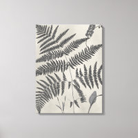 Vintage Ferns
