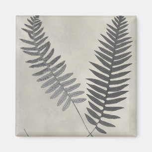 Vintage Ferns Magnet