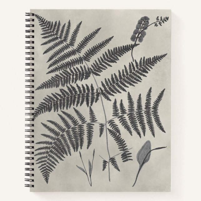 Vintage Ferns Notizbuch (Vorderseite)