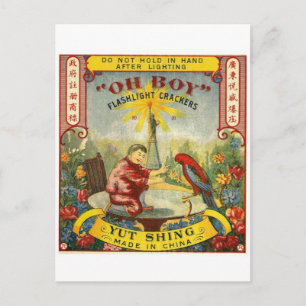 Vintage Feuerwerkspaket Postkarte