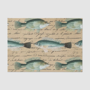Vintage Fisch Art Handschrift Text Creme Farbe Fis Seidenpapier
