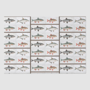 Vintage Fischbilder Seidenpapier