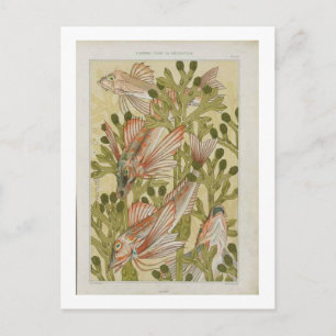 Vintage Fischdarstellung Postkarte