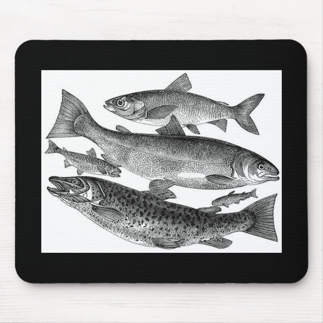 Vintage Fischdrucke Mousepad (Vorne)