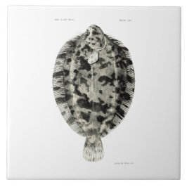 Vintage Fische der Wissenschafts-NZ - Fliese