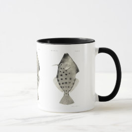 Vintage Fische der Wissenschafts-NZ - glattes Tasse