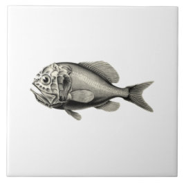 Vintage Fische der Wissenschafts-NZ - orange Fliese