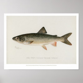 Vintage Fische - Forellensee Poster