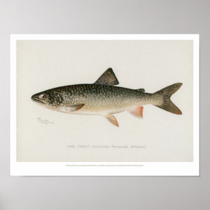 Vintage Fische - Forellensee Poster
