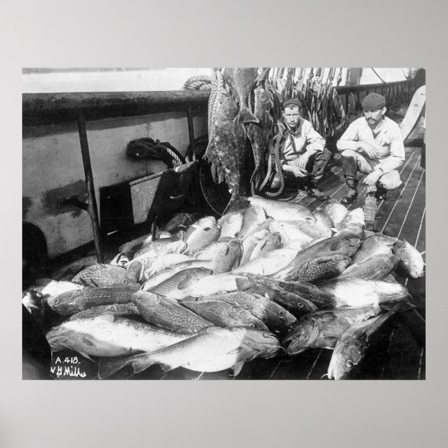 Vintage Fischerei, Anfang des 20. Jahrhunderts Poster (Vorne)