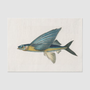 Vintage Fischfarbe Seidenpapier