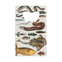 Vintage Fischsammlungen Geldbeutel Flaschenöffner