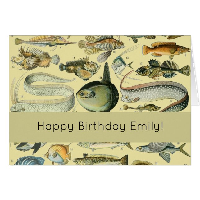 Vintage Fish Scientific Fishing Art (Vorderseite (Horizontal))