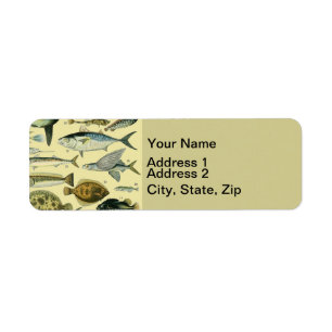 Vintage Fish Scientific Fishing Art