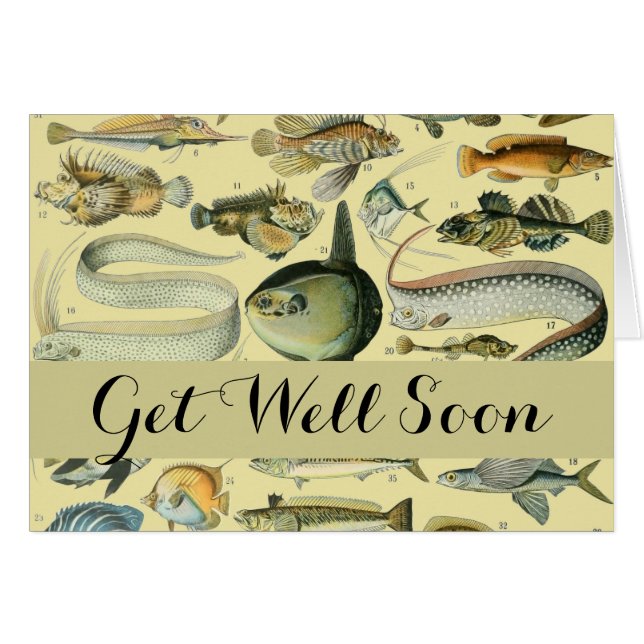 Vintage Fish Scientific Fishing Art (Vorderseite (Horizontal))