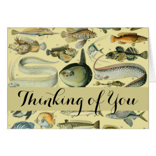 Vintage Fish Scientific Fishing Art