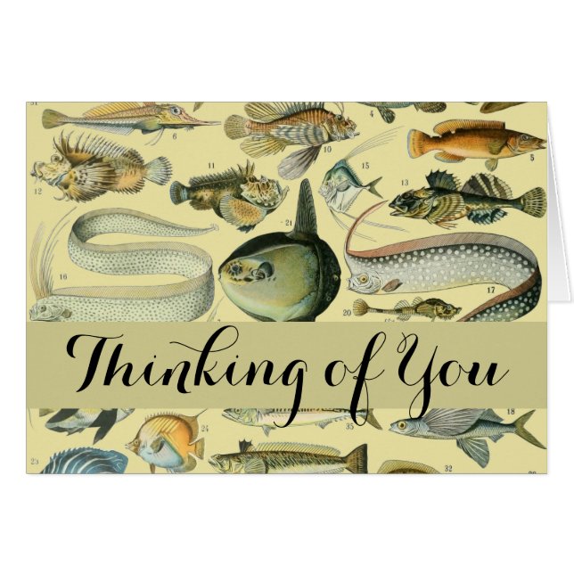 Vintage Fish Scientific Fishing Art (Vorderseite (Horizontal))