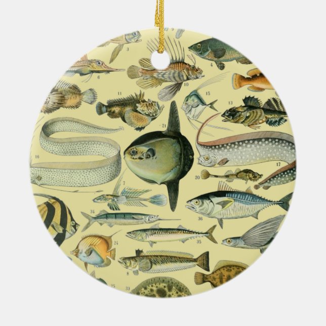 Vintage Fish Scientific Fishing Art Keramik Ornament (Hinten)
