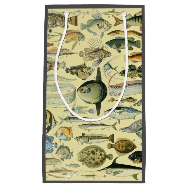 Vintage Fish Scientific Fishing Art Kleine Geschenktüte (Vorderseite)