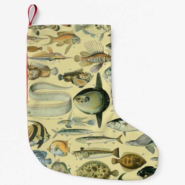 Vintage Fish Scientific Fishing Art Kleiner Weihnachtsstrumpf (Vorderseite)