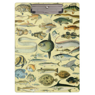 Vintage Fish Scientific Fishing Art Klemmbrett