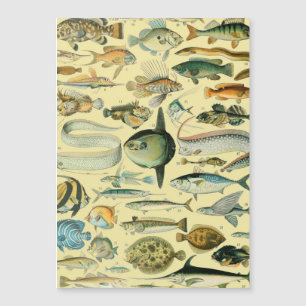 Vintage Fish Scientific Fishing Art Magnetkarte