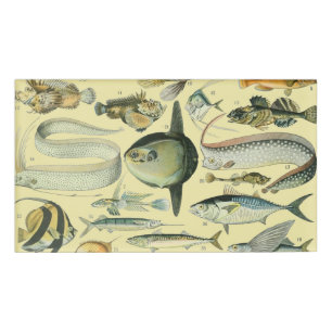 Vintage Fish Scientific Fishing Art Namenschild