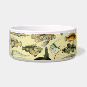 Vintage Fish Scientific Fishing Art Napf