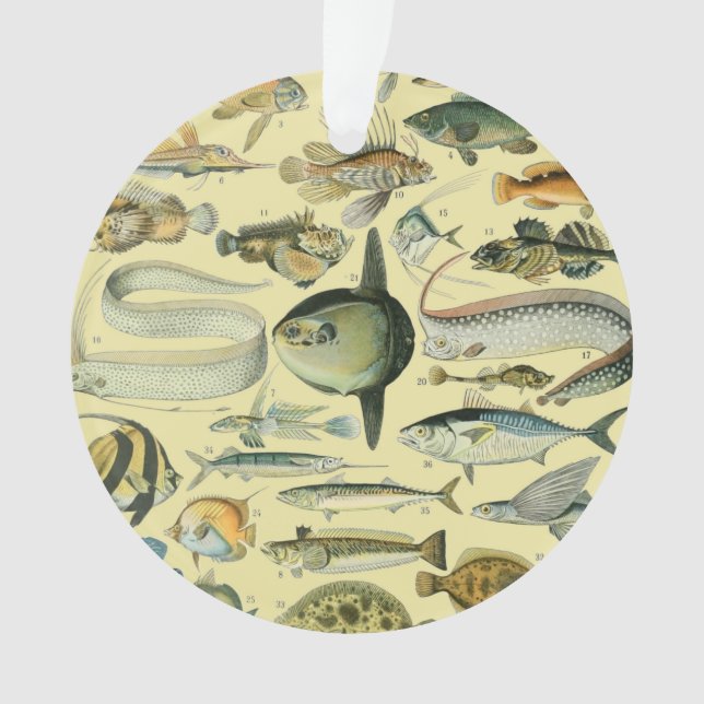 Vintage Fish Scientific Fishing Art Ornament (Vorderseite)