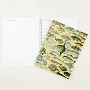 Vintage Fish Scientific Fishing Art Planer
