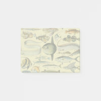 Vintage Fish Scientific Fishing Art
