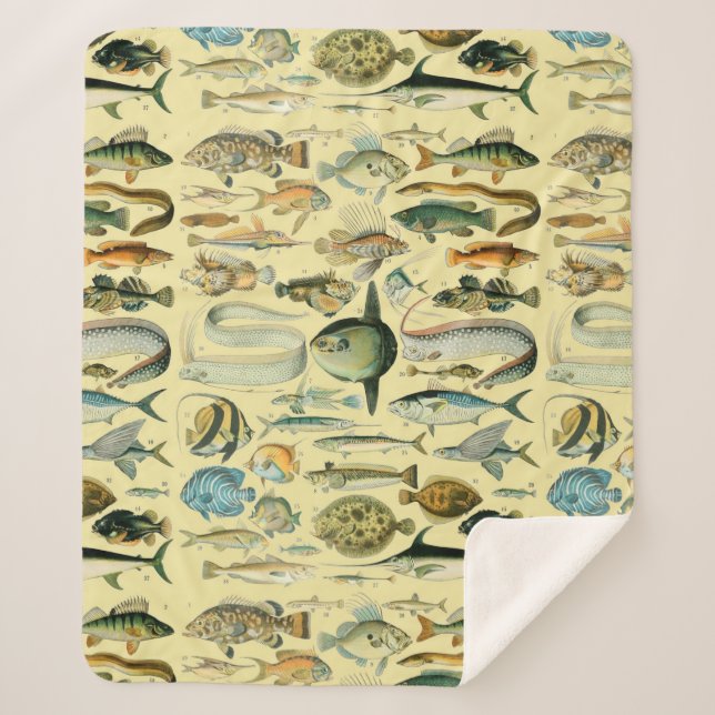 Vintage Fish Scientific Fishing Art Sherpadecke (Vorderseite)