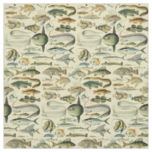 Vintage Fish Scientific Fishing Art Stoff