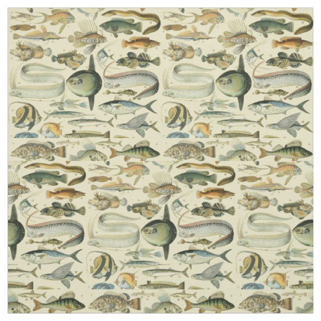 Vintage Fish Scientific Fishing Art Stoff (Muster)