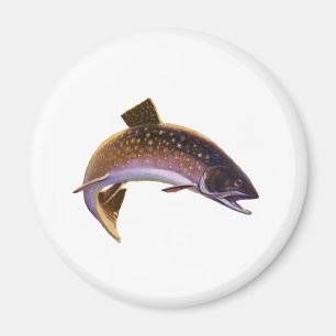 Vintage Fish, Sports Fishing Fisherman Magnet