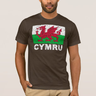 Vintage Flagge Wales CYMRU T-Shirt