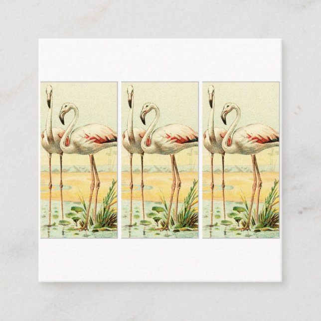 Vintage Flamingo Begleitkarte (Vorderseite)