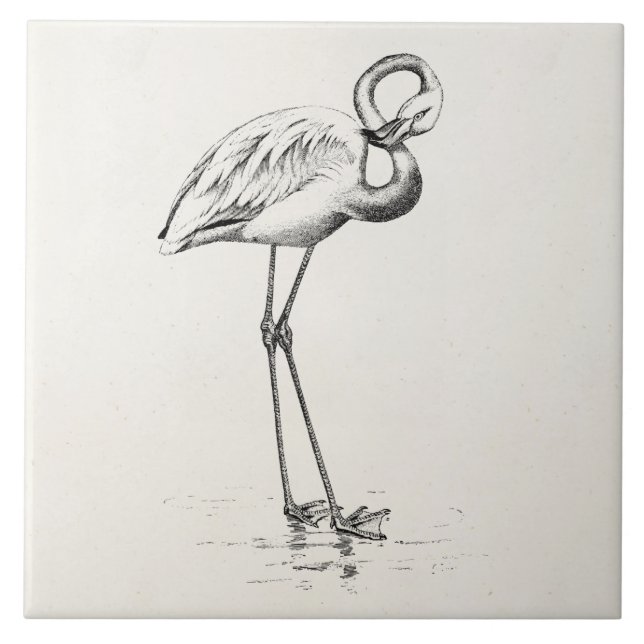 Vintage Flamingo Bird Antique Bird-Vorlage Fliese (Vorderseite)