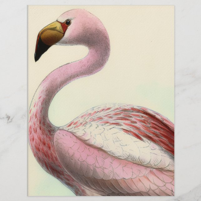 Vintage Flamingo Briefbogen (Vorderseite)