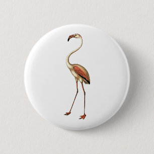 Vintage Flamingo Button