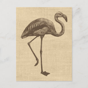 Vintage Flamingo-Illustration auf Burlap Postkarte