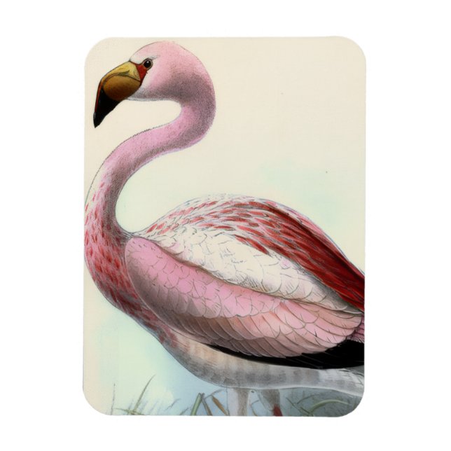 Vintage Flamingo Magnet (Vertikal)