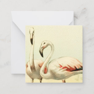 Vintage Flamingo Mitteilungskarte