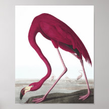Vintage-Flamingo-Plakat