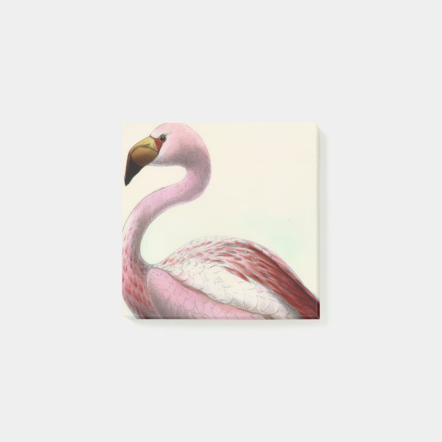 Vintage Flamingo Post-it Klebezettel (Vorderseite)